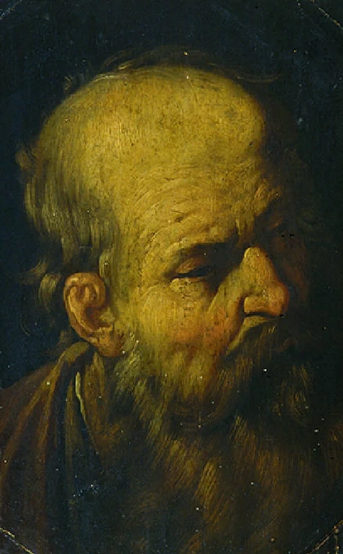 Figura di vecchio - Pinacoteca Tosio Martinengo, Brescia